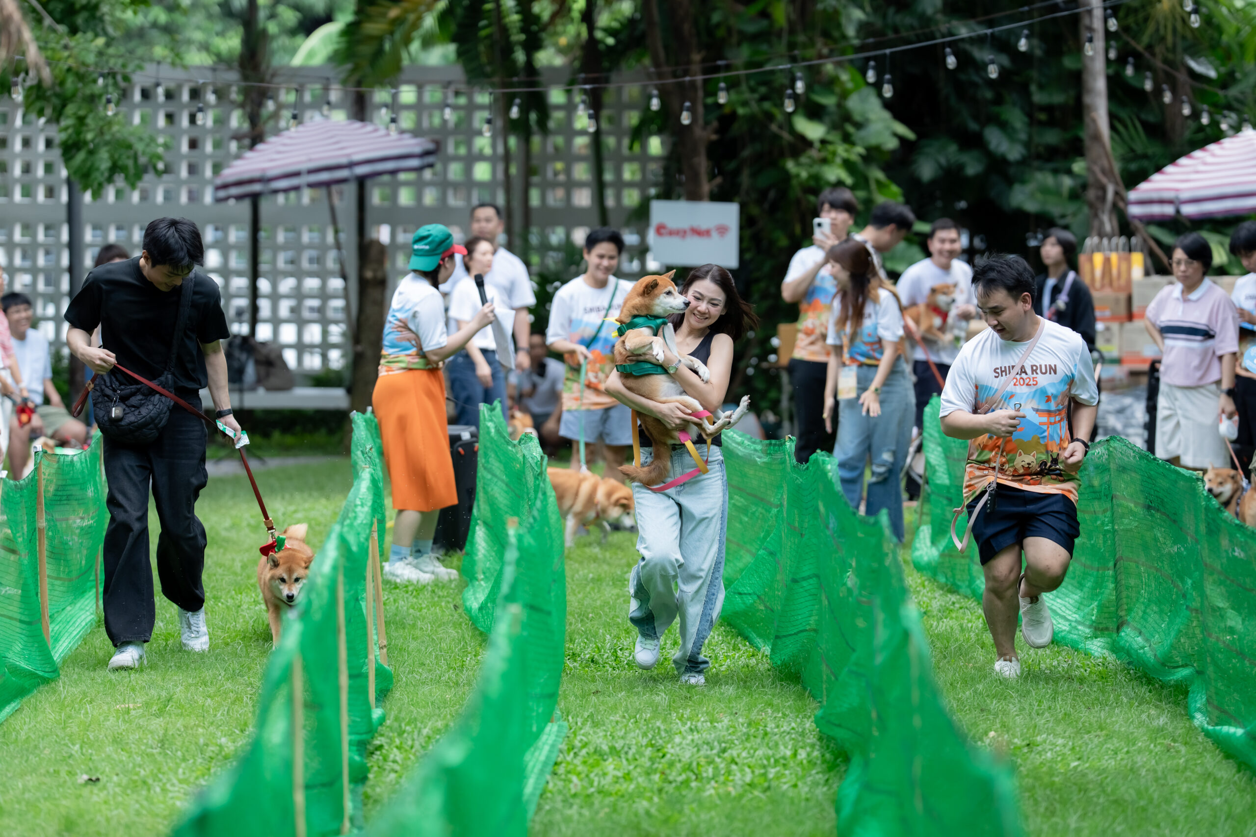 Dog run event