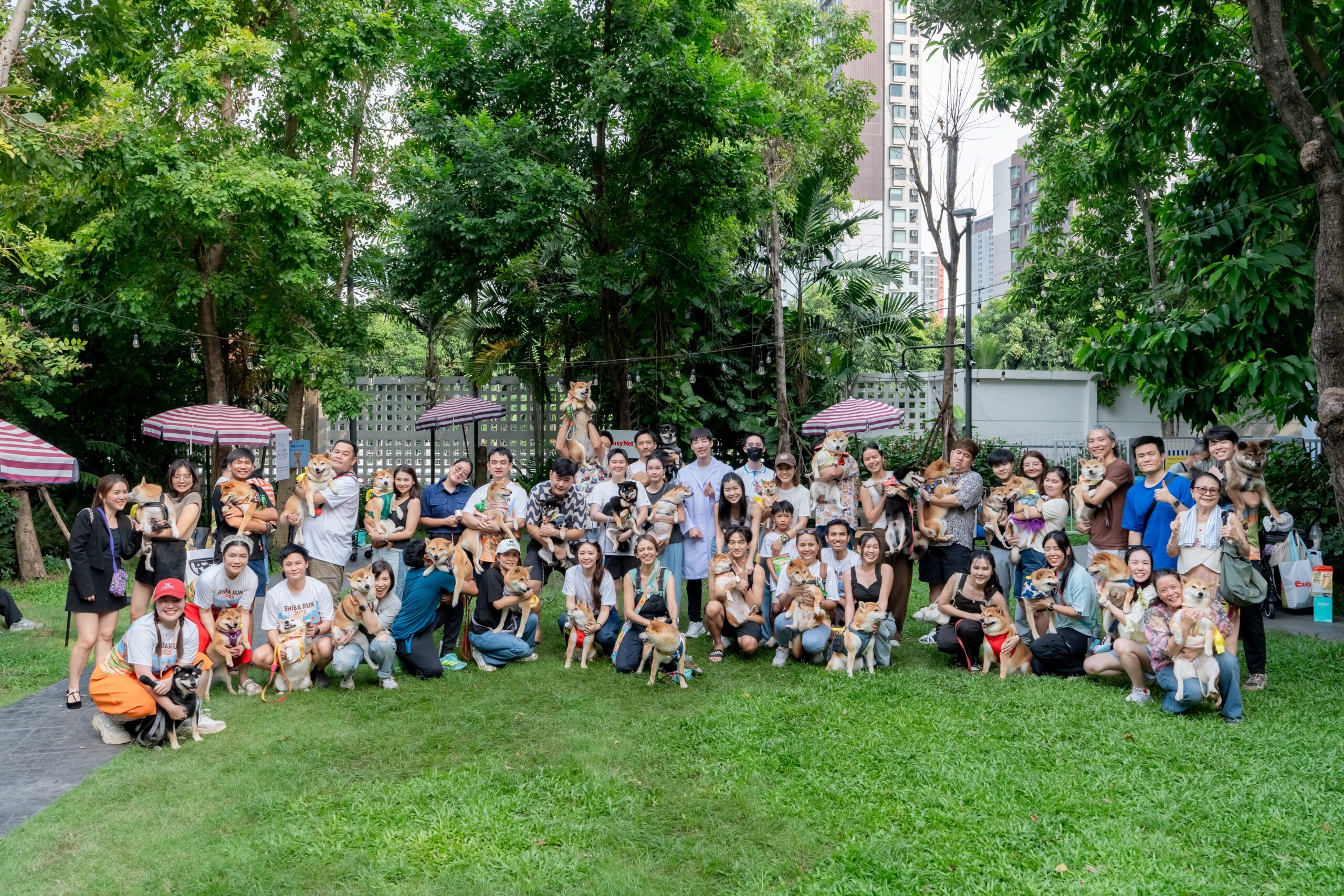 Dog run event