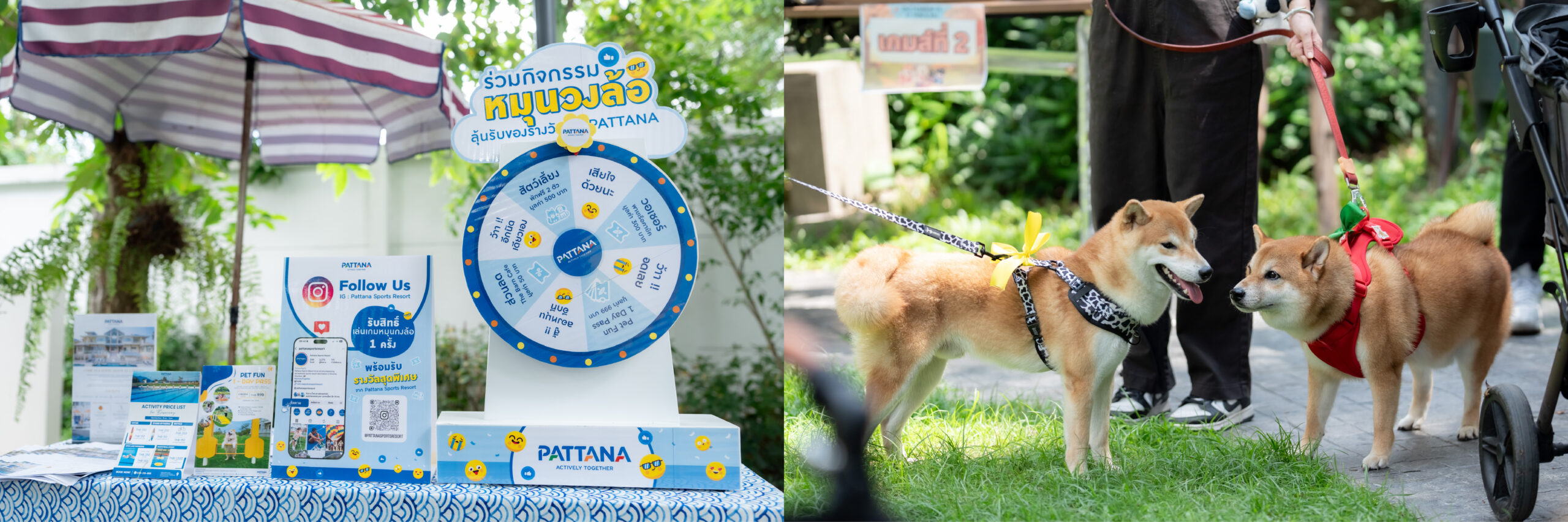 Dog run event