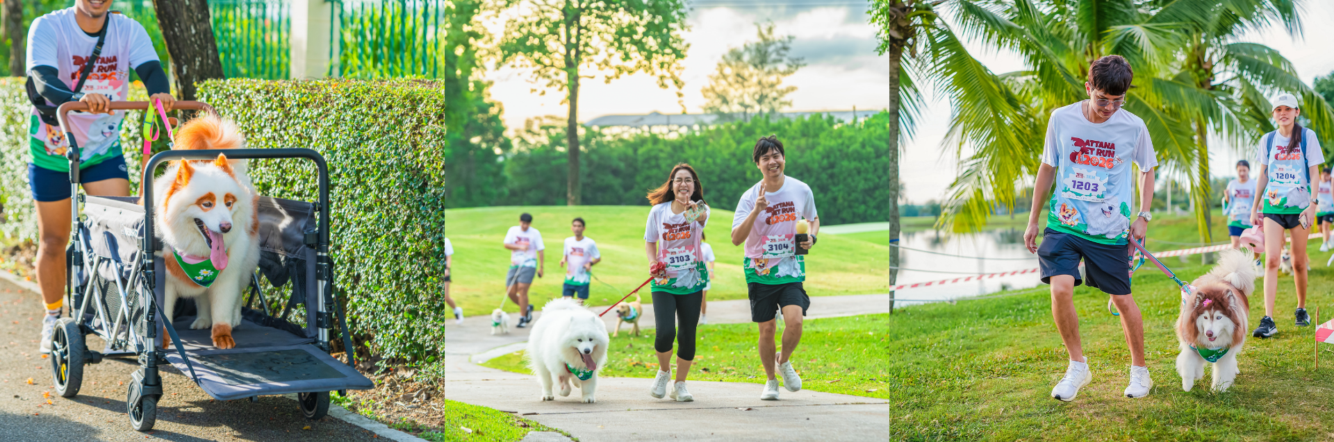 Pattana Pet Run 2026 #7