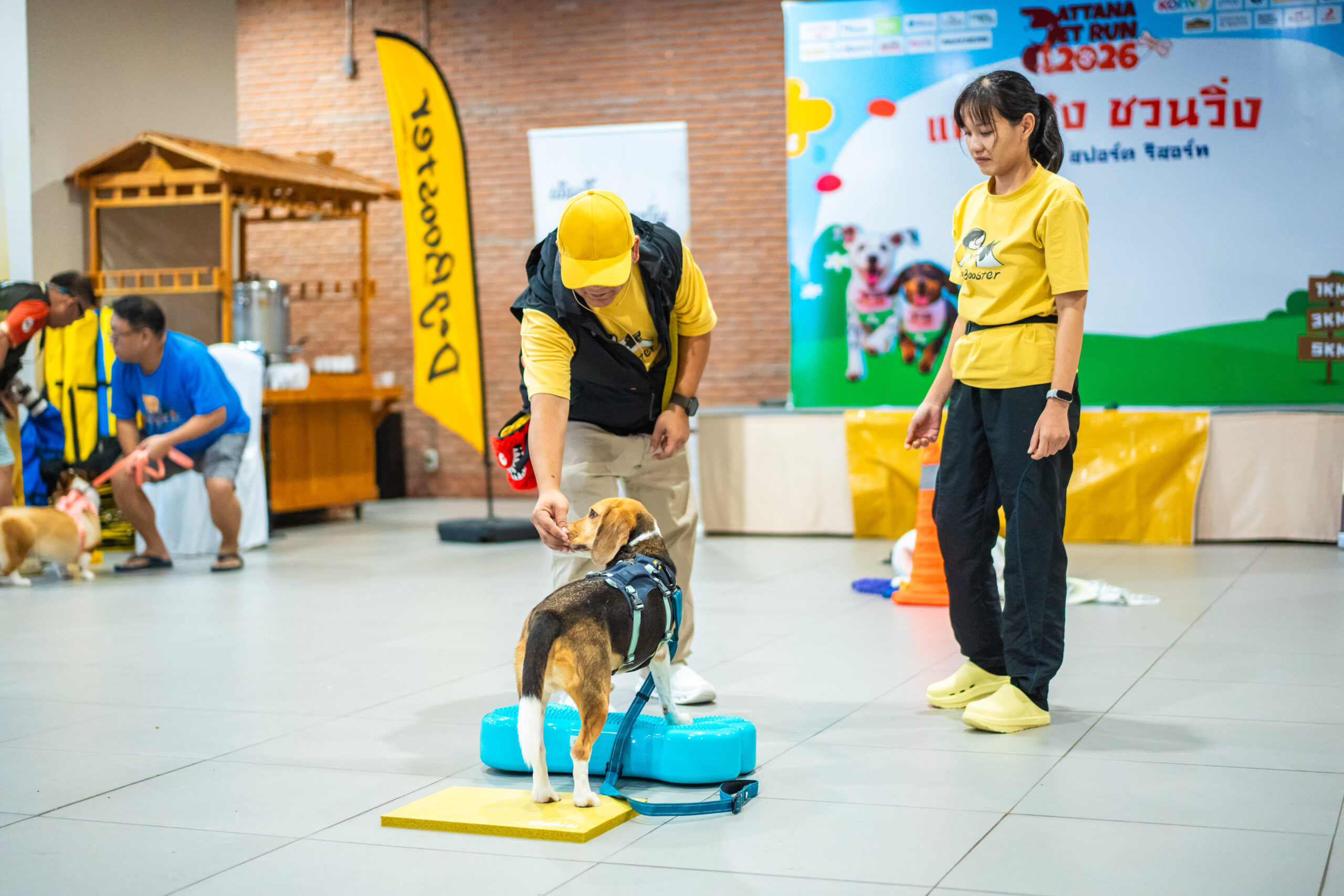 Pattana Pet Run 2026 ครั้งที่ 7