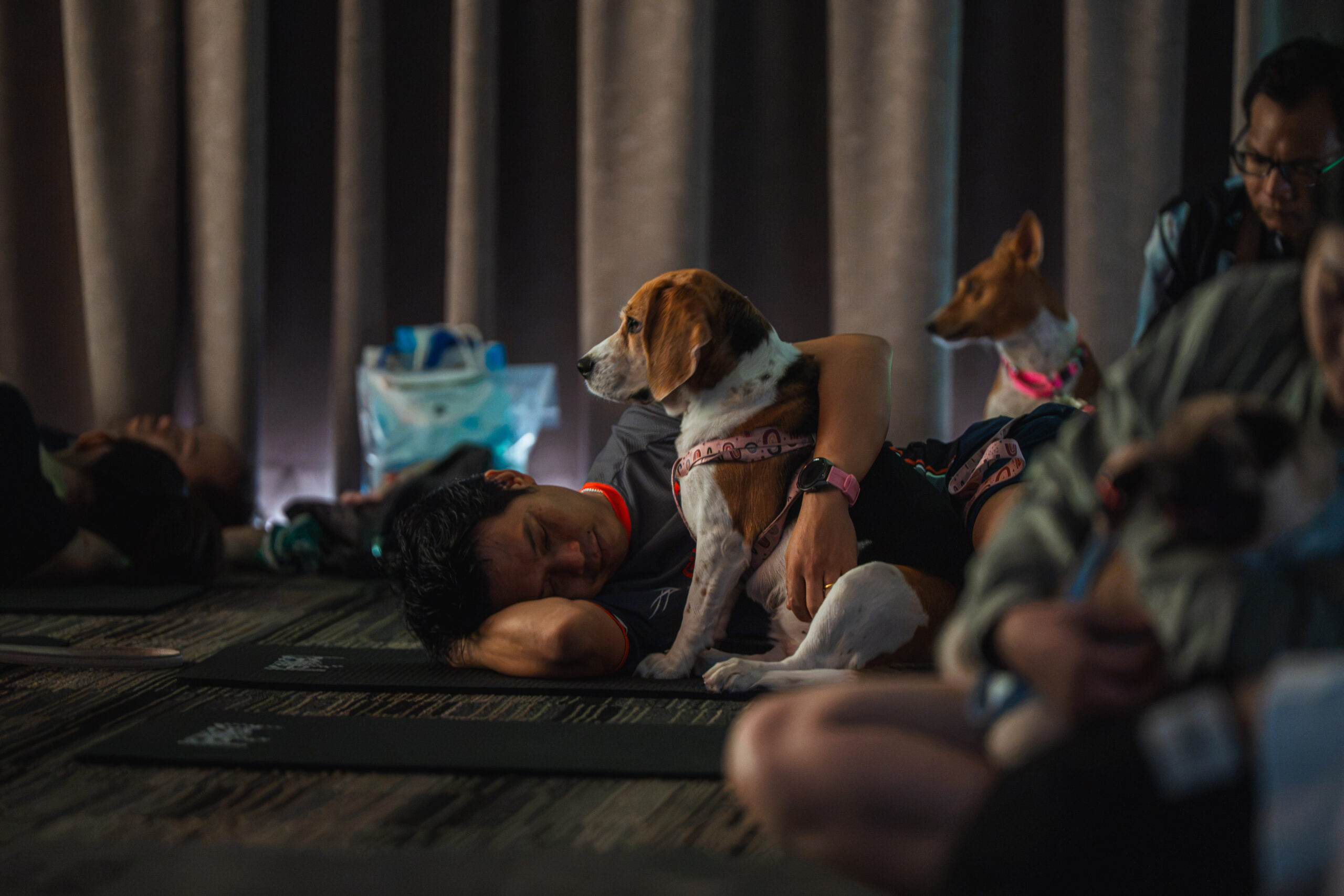 Pattana Pet Run 2026 ครั้งที่ 7